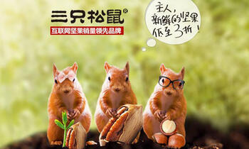 三只松鼠“小堅(jiān)果的大生意經(jīng)”：如何在半年內(nèi)實(shí)現(xiàn)4億銷售？