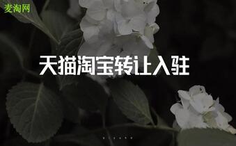 網(wǎng)店轉(zhuǎn)讓的安全性怎么保障？