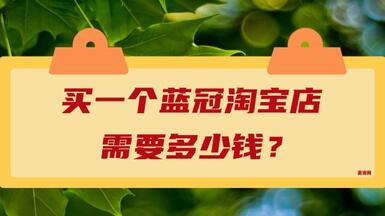 買一個(gè)藍(lán)冠淘寶店需要多少錢？