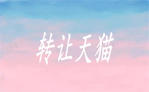 天貓開店